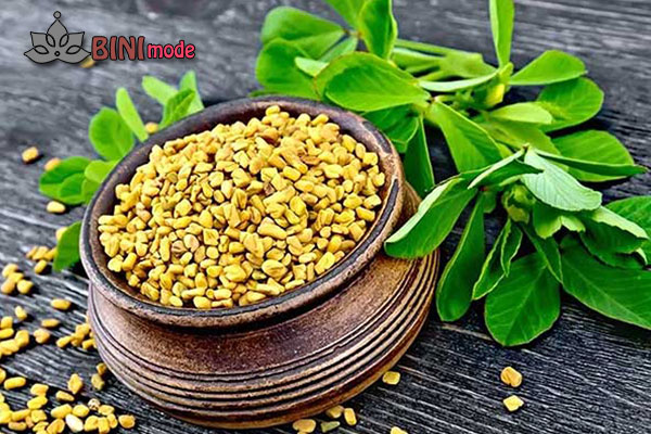 تخم شنبلیله برای رفع مو