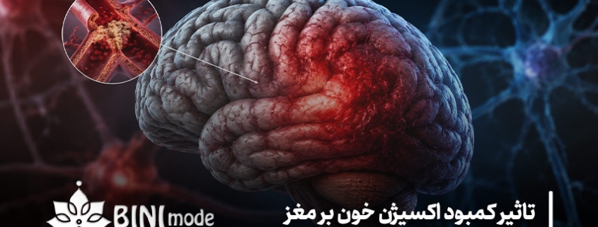 تاثیر کمبود اکسیژن خون بر مغز