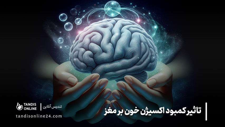 تفاوت هیپوکسی (کمبود اکسیژن) و آنوکسی (قطع اکسیژن) چیست؟